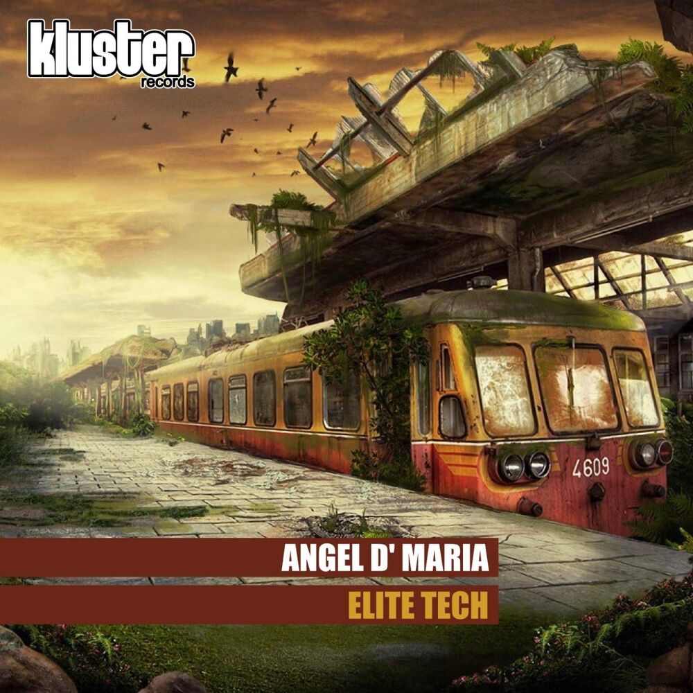 Picture of Elite Tech