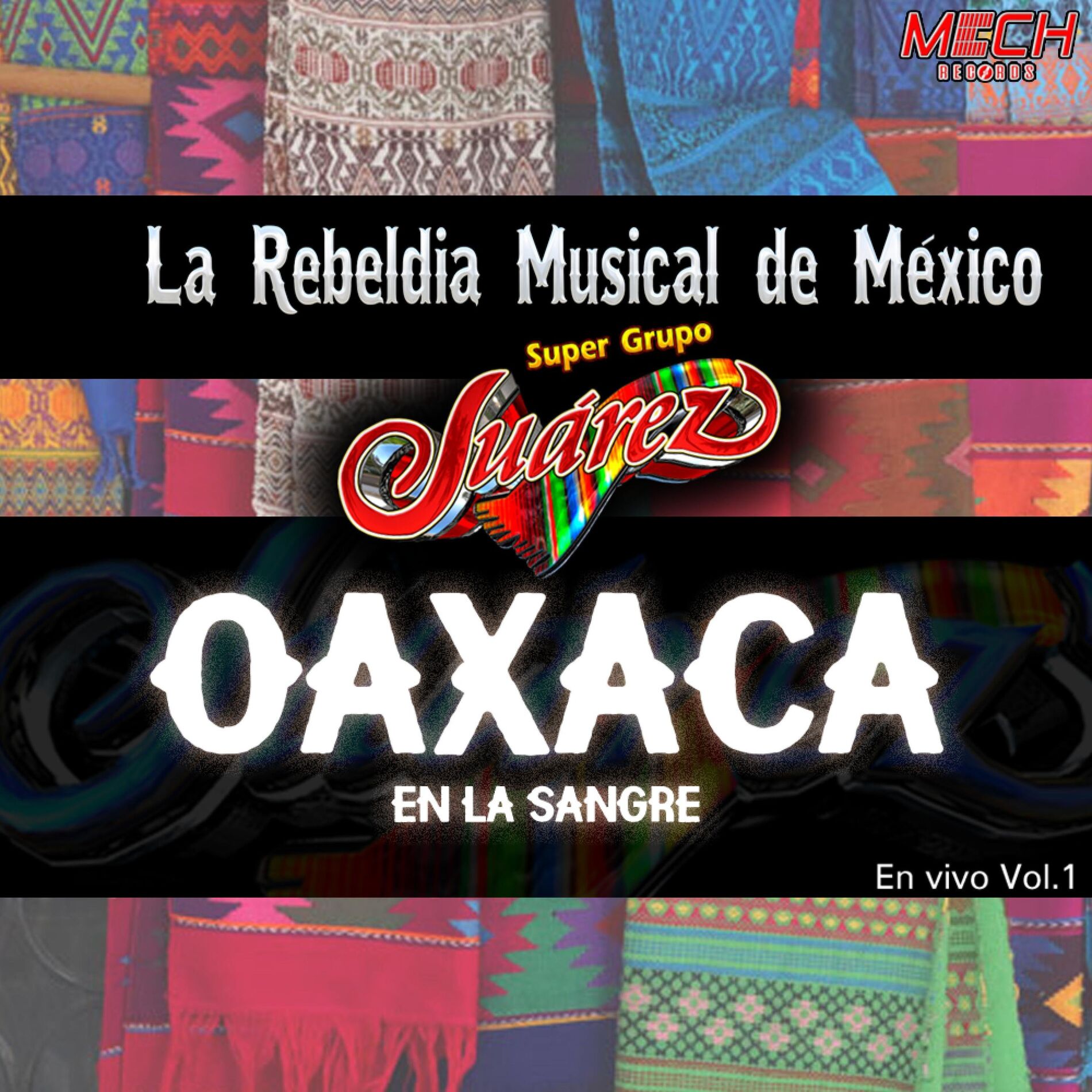 Album cover of Oaxaca en la Sangre