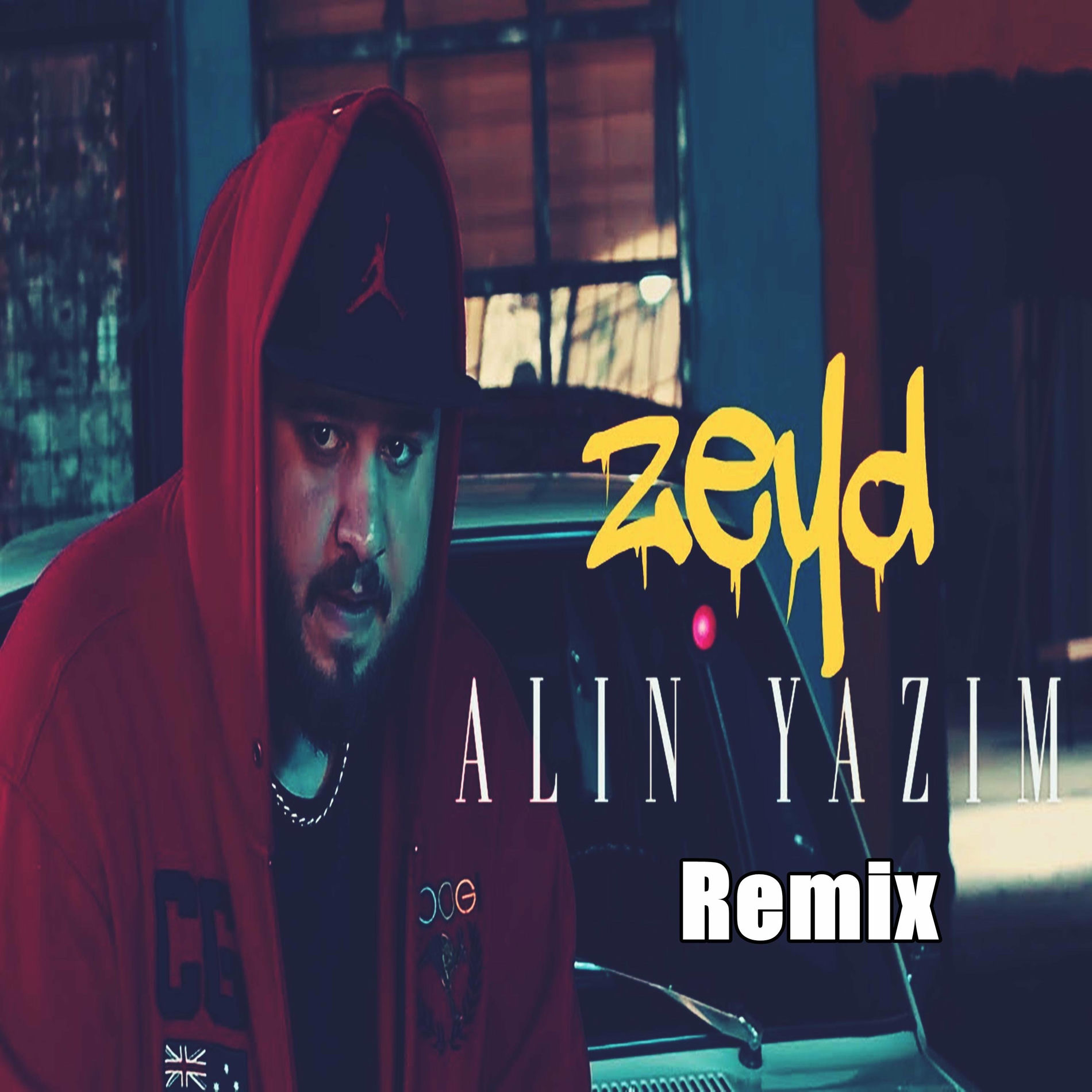 Album cover of Alın Yazım Remix (feat. Zeyd & Burak King)