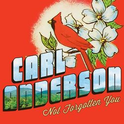 Cover of Not Forgotten You