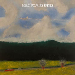 MERCI POUR LES &Eacute;PINES
