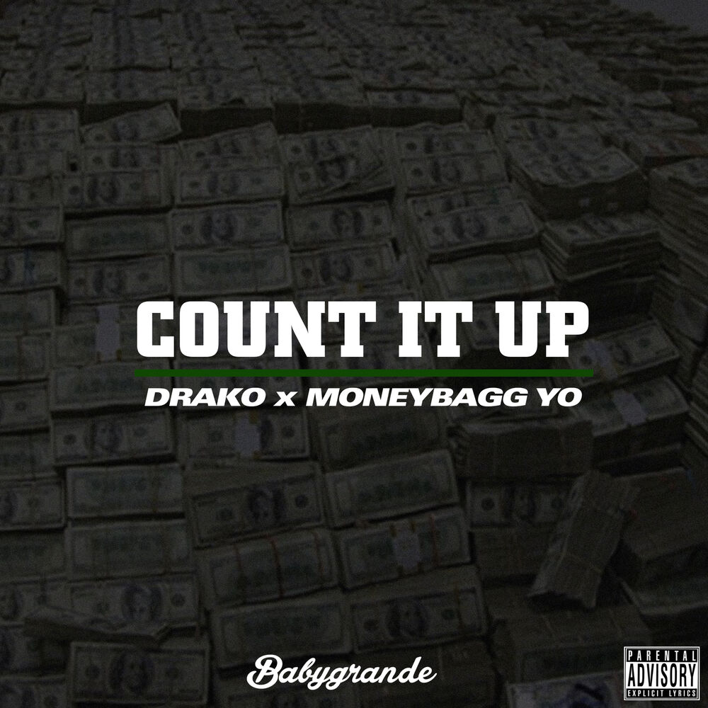 Picture of Count It Up