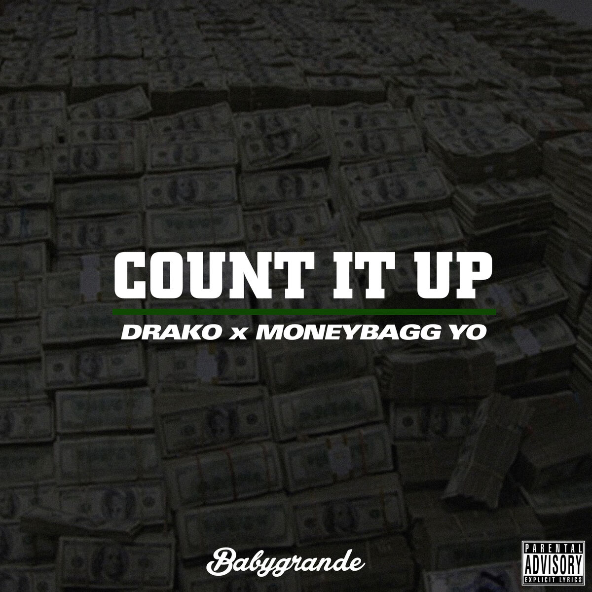 Album cover of Count It Up