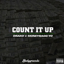 Cover of Count It Up