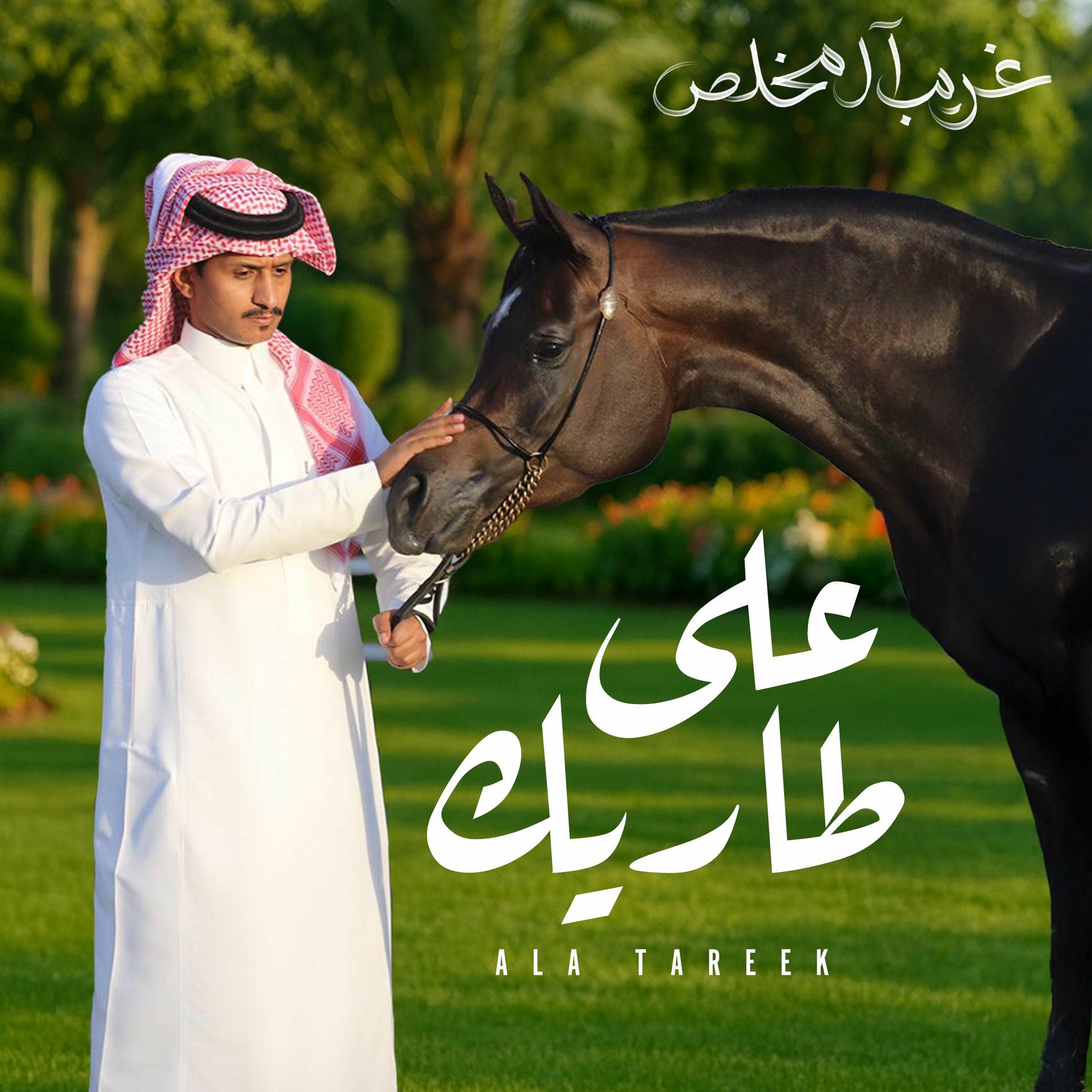 Album cover of على طاريك