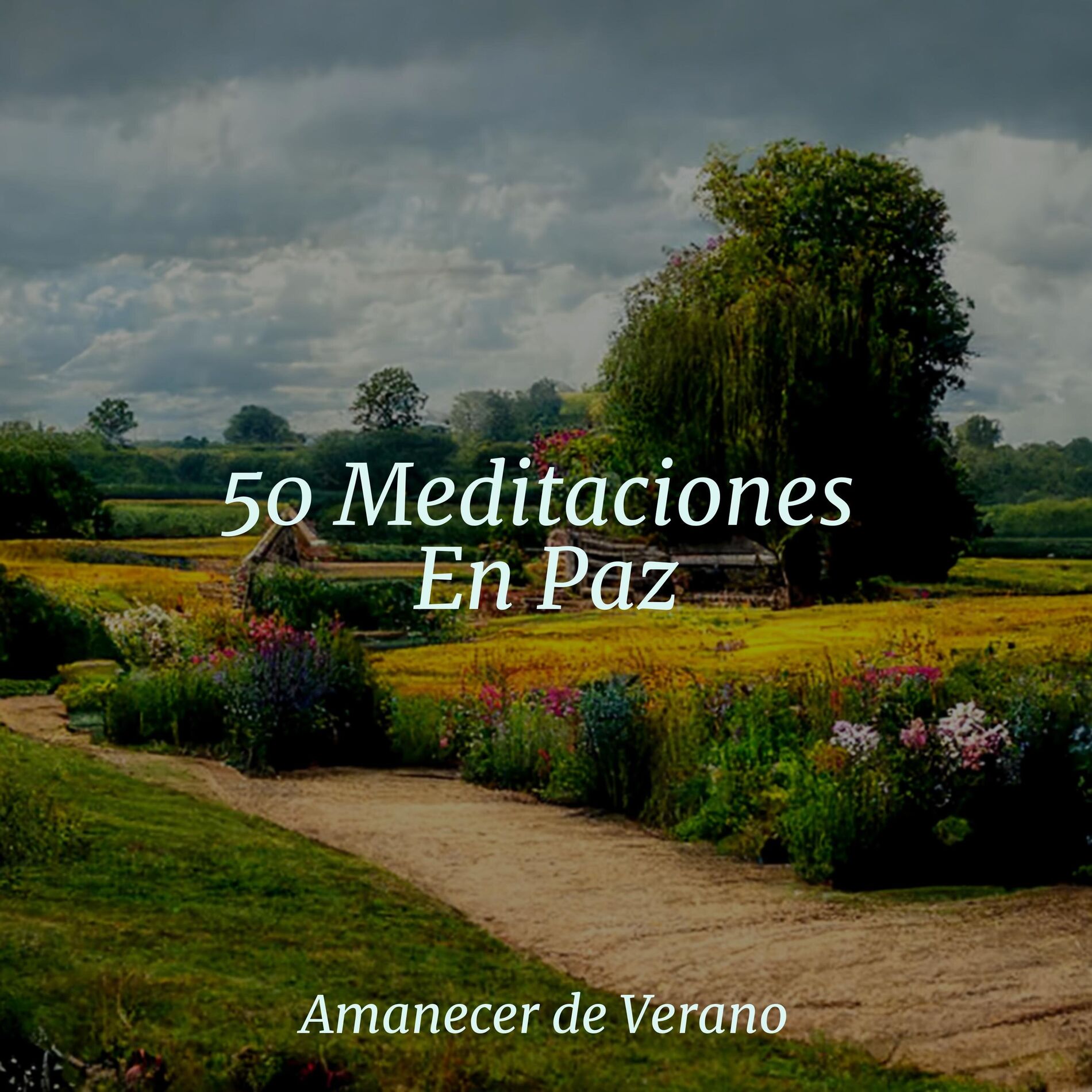 Album cover of 50 Meditaciones En Paz