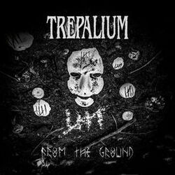 Cover of From The Ground