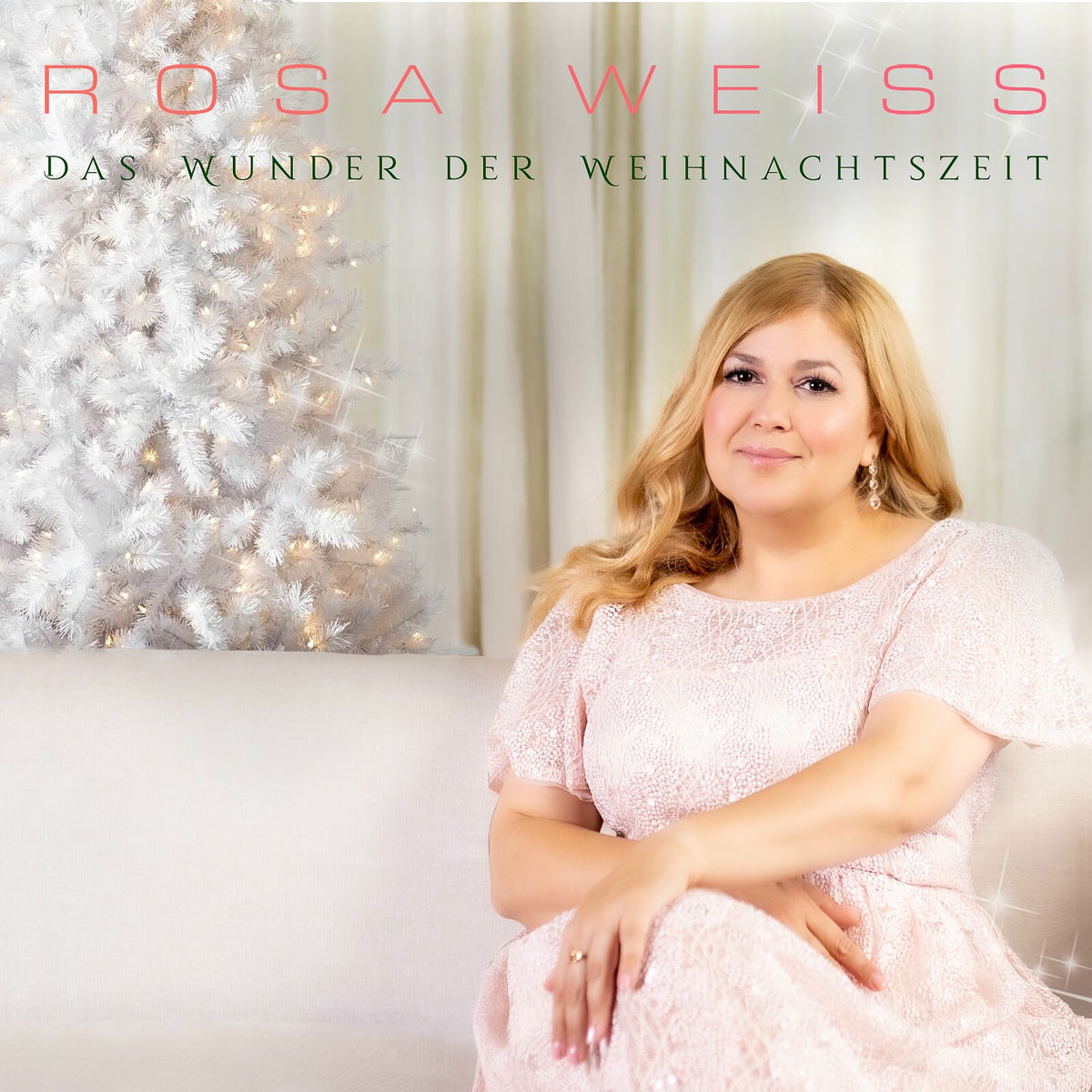 Album cover of Das Wunder der Weihnachtszeit