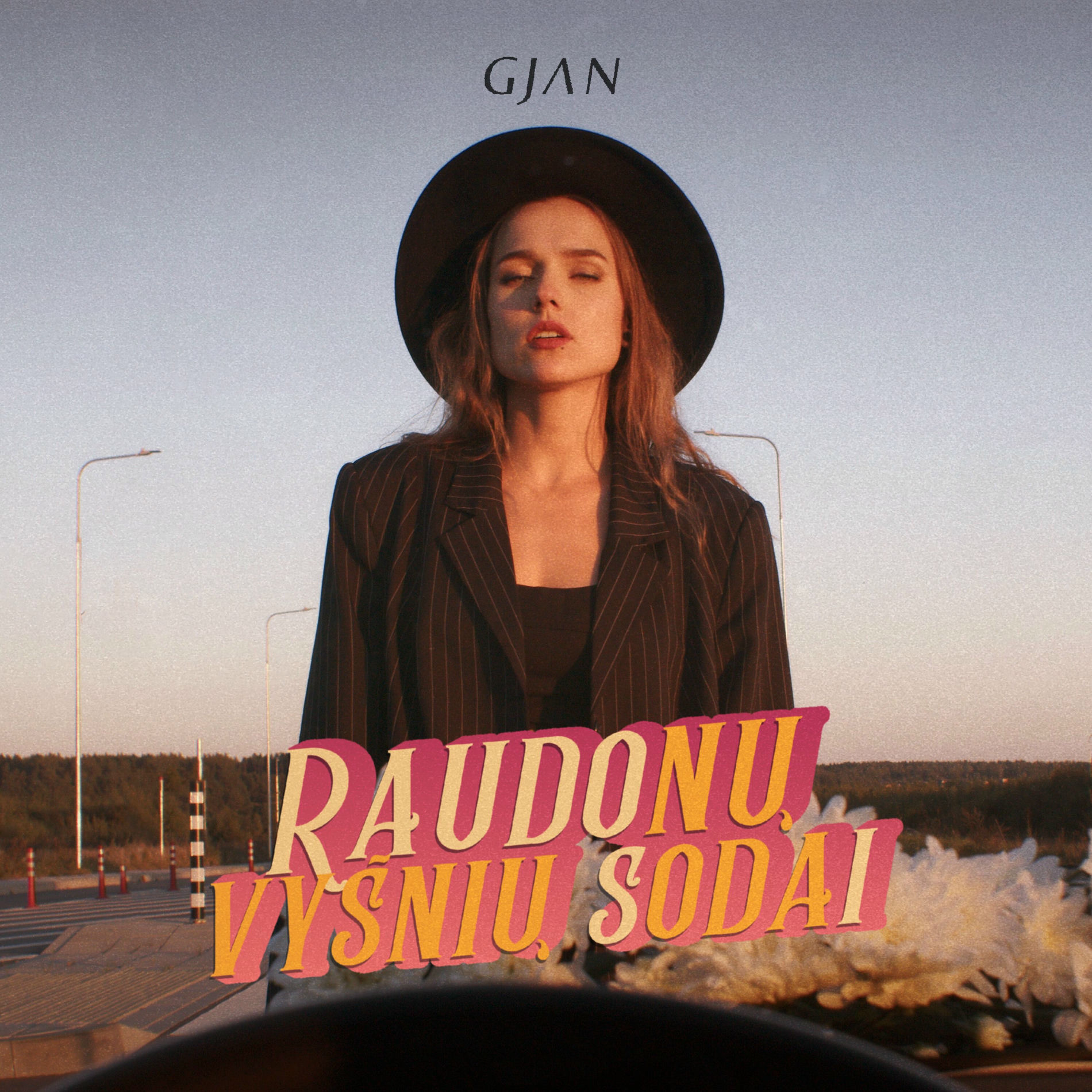 Album cover of Raudonų vyšnių sodai