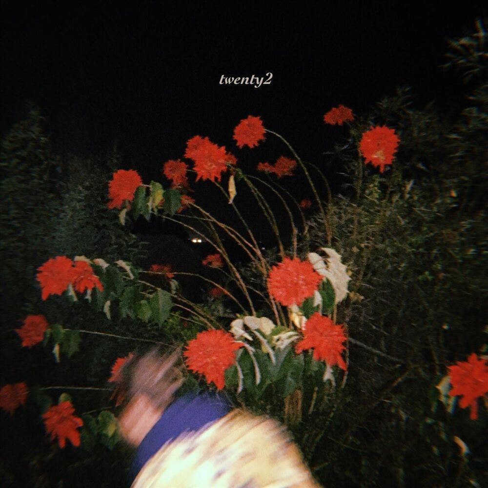 Picture of Twenty2
