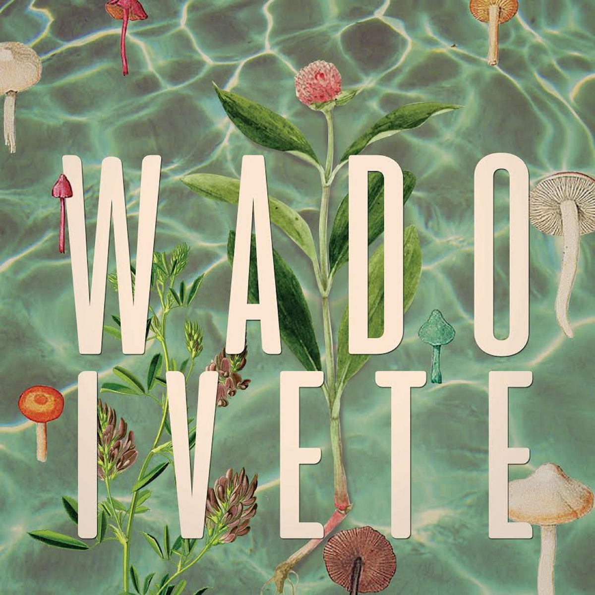 Album cover of Ivete
