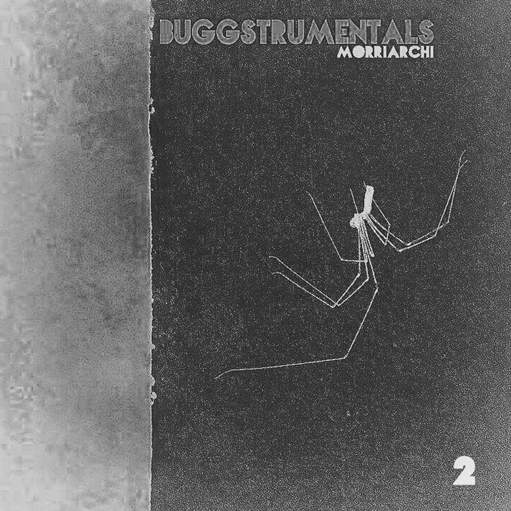 Picture of Buggstrumentals 2