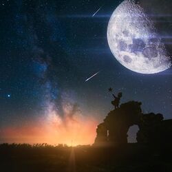 Cover of Moon Dreamer