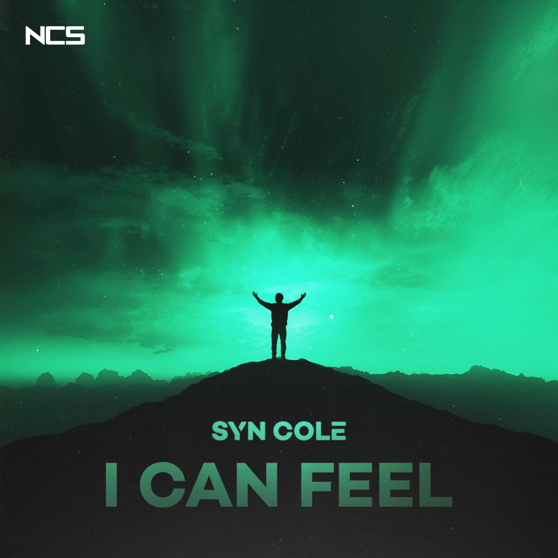 Album cover of I Can Feel