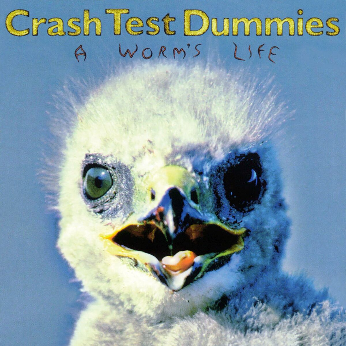 Album cover of A Worm's Life
