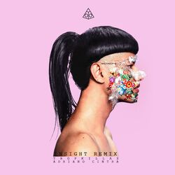 Cover of Insight (Remixes)
