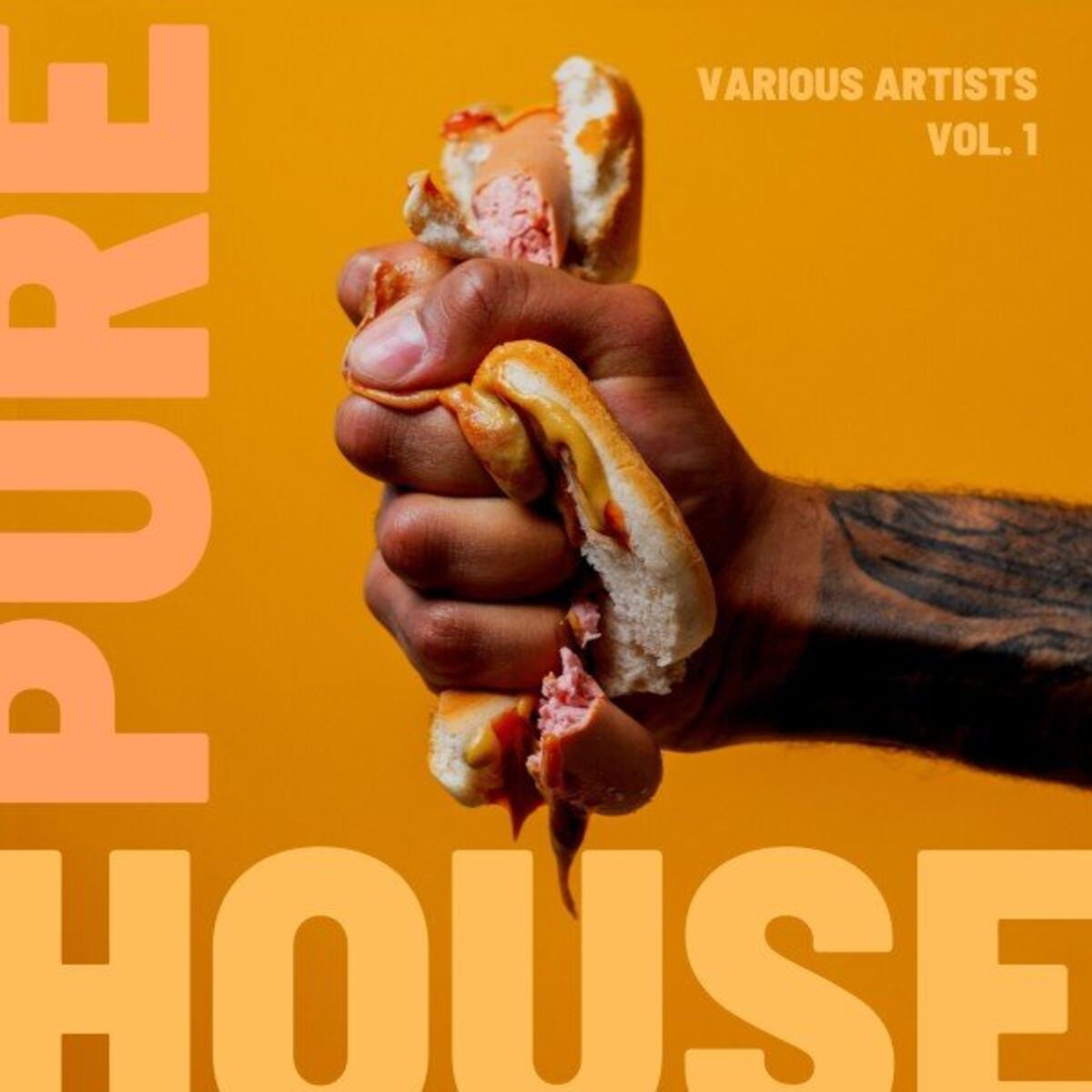 Album cover of Pure House, Vol. 1