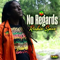 Cover of No Regards