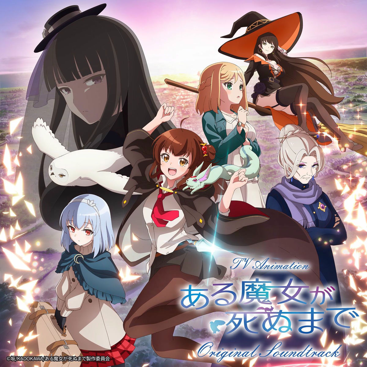Album cover of TV animation 