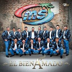 Cover of El Bien Amado