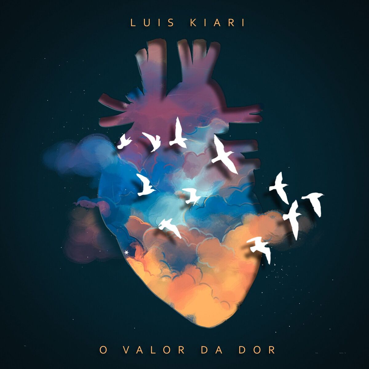 Album cover of O Valor da Dor