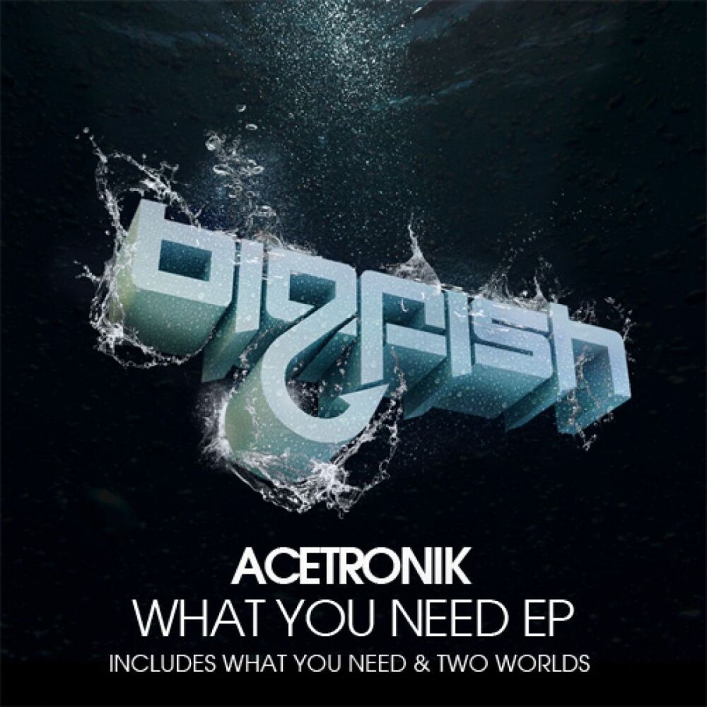 Picture of What You Need EP