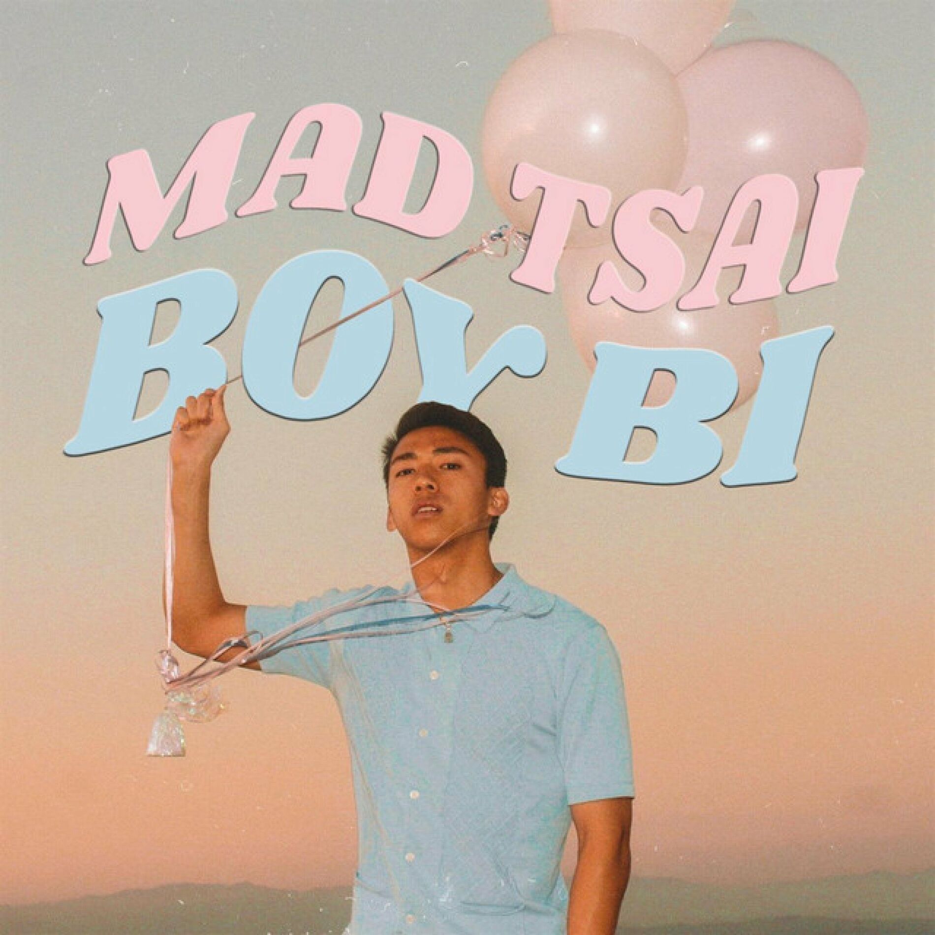 Album cover of Boy Bi
