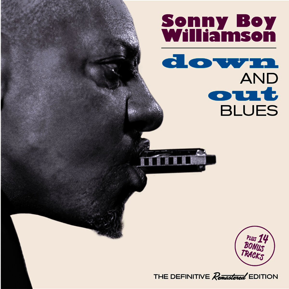 Album cover of Down and out Blues (Bonus Track Version)