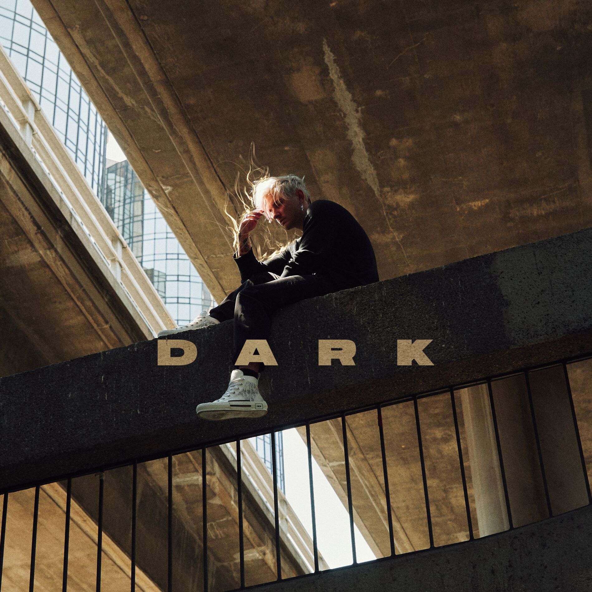 Album cover of DARK