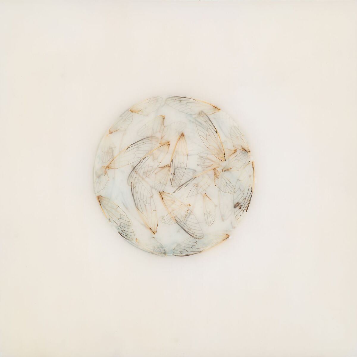 Album cover of Off White