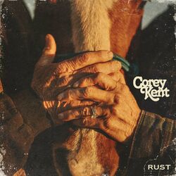 Cover of Rust
