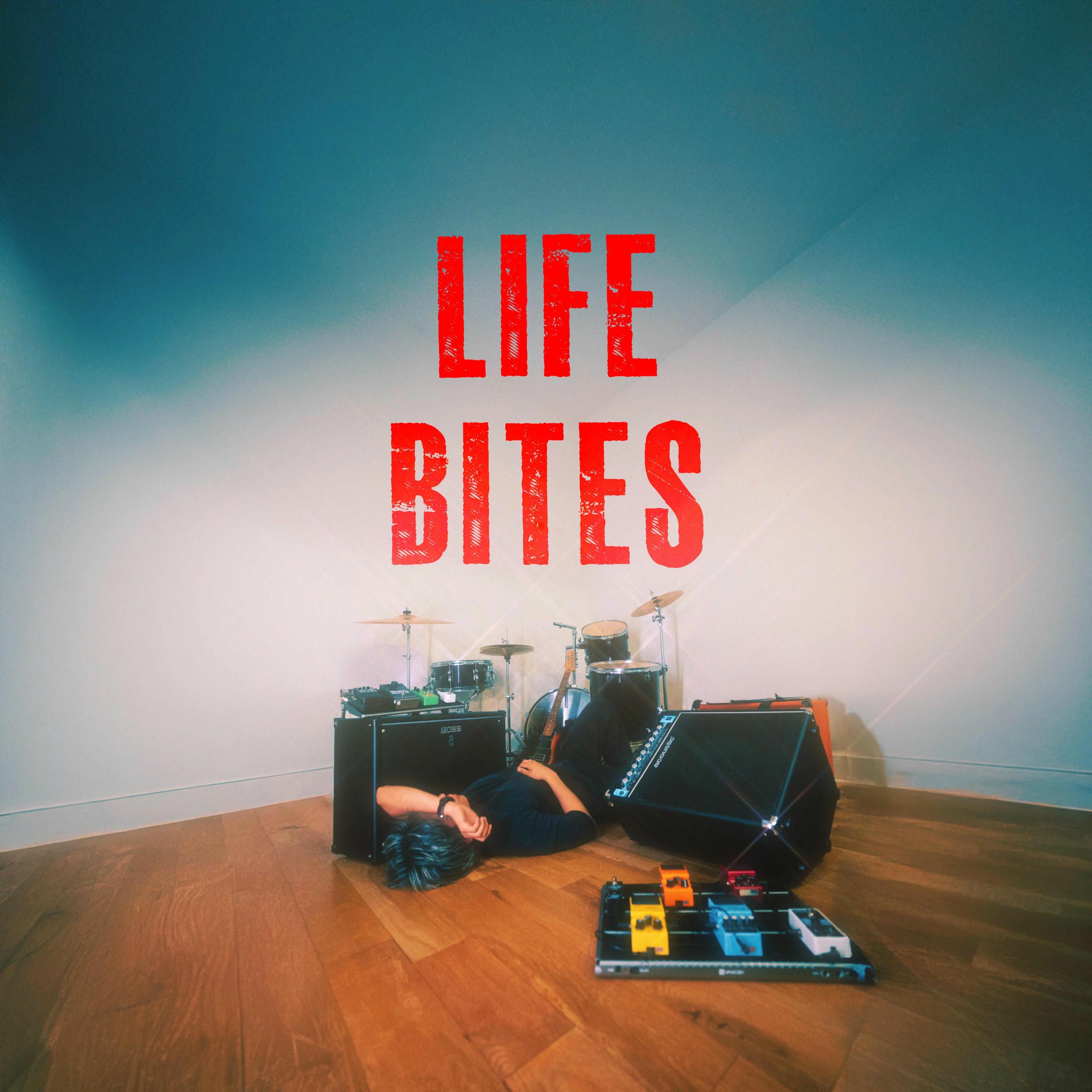 Album cover of life bites