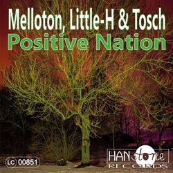 Cover of Positive Nation