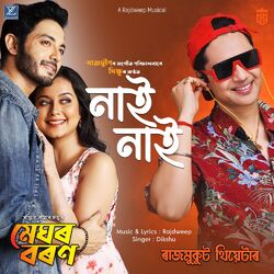 Cover of Nai Nai