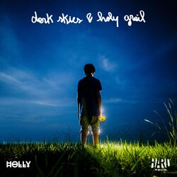 Cover of Dark Skies & Holy Grail