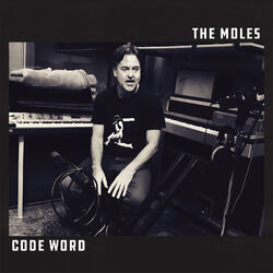 Cover of Code Word