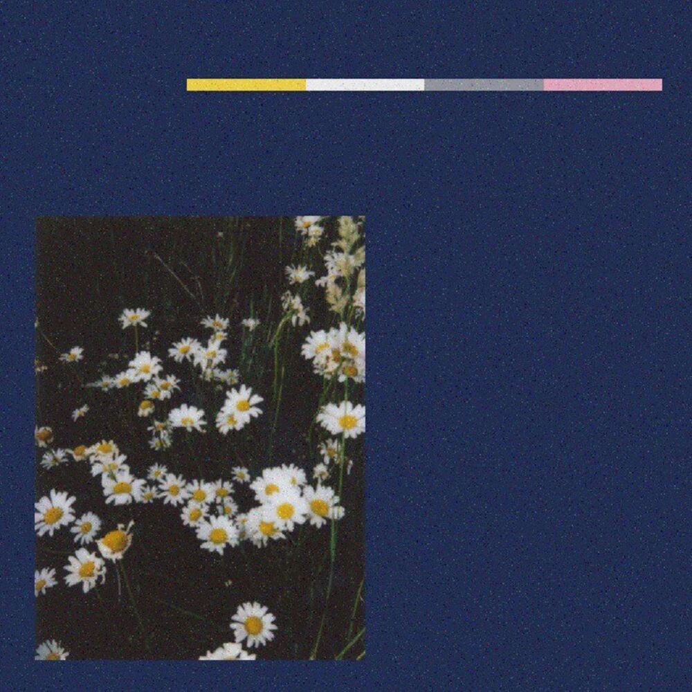 Picture of Visions