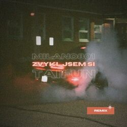 Cover of Zvykl jsem si (Remix)