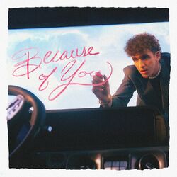 Cover of Because Of You