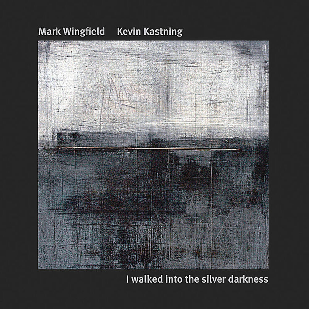 Picture of I Walked Into the Silver Darkness