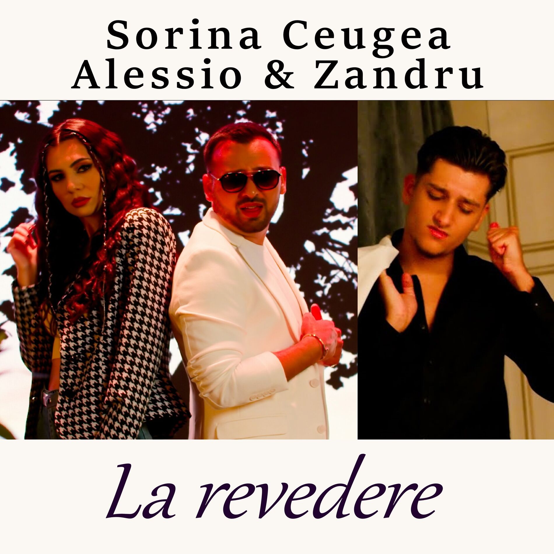 Album cover of La revedere