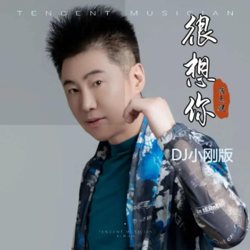 真的很想你 (DJ小刚版)