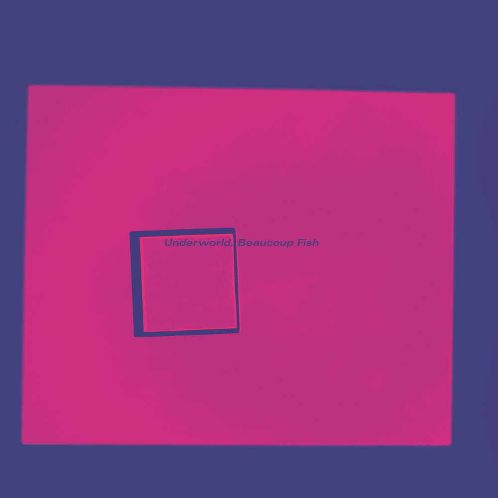 Picture of Beaucoup Fish (Remastered / Super Deluxe)