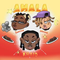 Cover of Amala