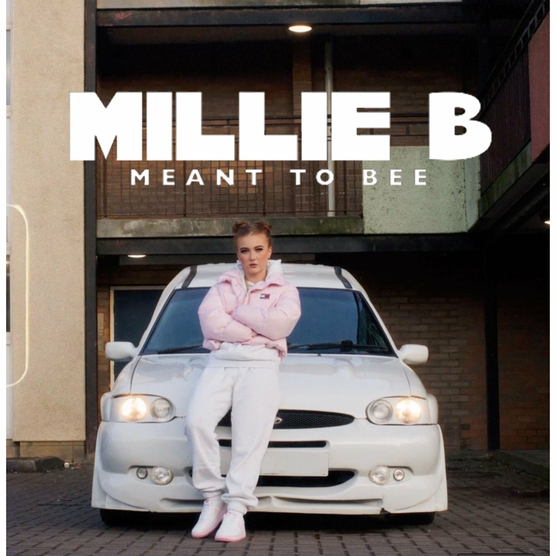 Album cover of Meant to Bee