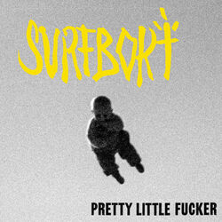 Cover of Pretty Little Fucker