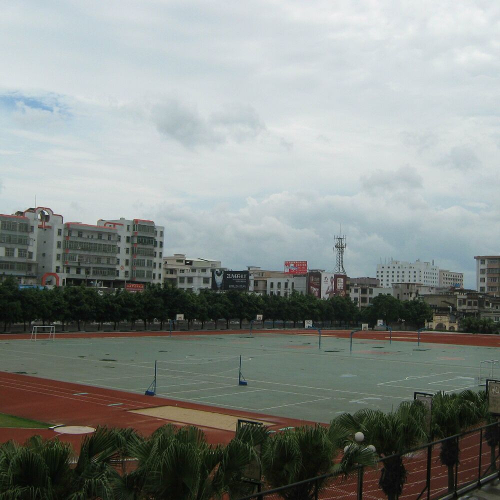 Picture of 木棉树下
