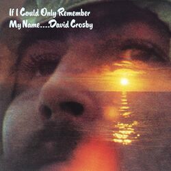Cover of If I Could Only Remember My Name