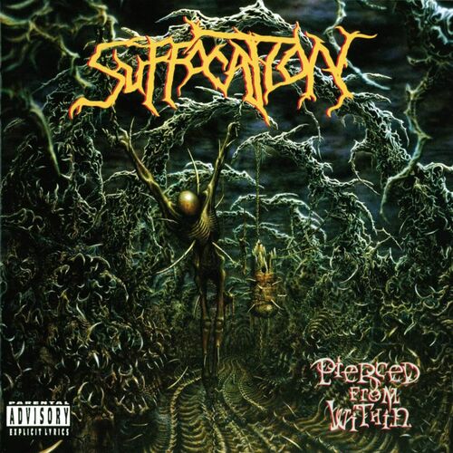 Suffocation / Pierced From Within【国内盤】 Suffocation - Pierced From Within | Deezer