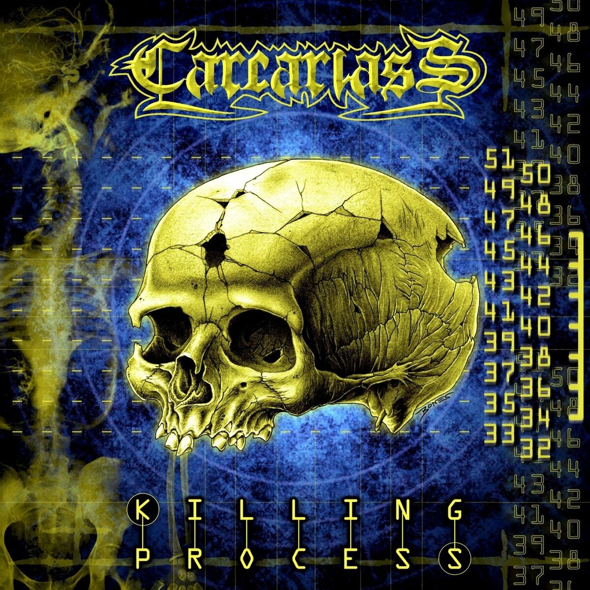 Album cover of Killing Process